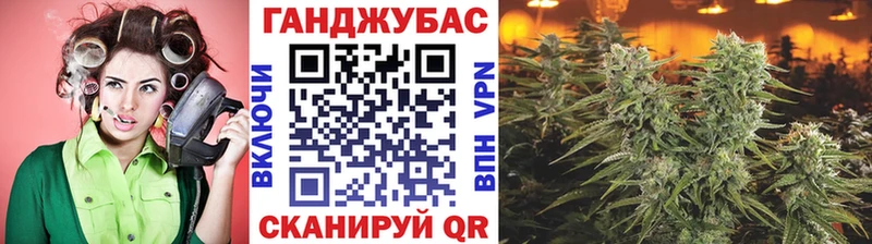 где продают наркотики  кракен зеркало  Конопля ГИДРОПОН  Богородск 